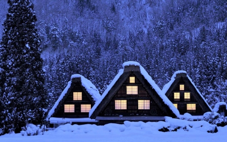 Winter House - winter, house, japan, snow