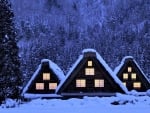 Winter House