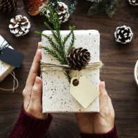Gift on New-year
