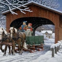 covered bridge