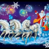 Santa And White Horses