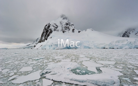 iMac Wallpaper - white, imac, ice, frog, north pole, apple