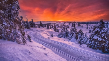 Winter Sunset - skies, winter, yellow, red, snow, orange