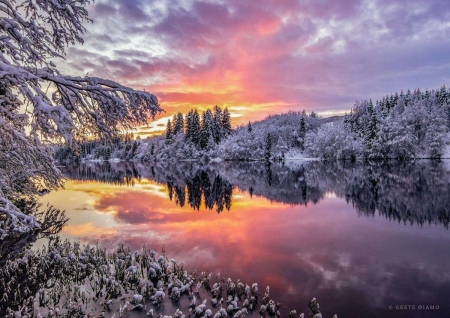 WINTER SKIES AT THE LAKE - winter, skies, lake, snowy