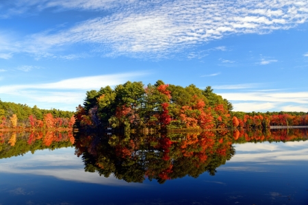 Autumn trees - Trees, Autumn, Nature, River, Forest