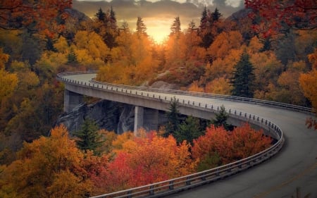 forest road - fun, sunset, nature, road, forest, cool