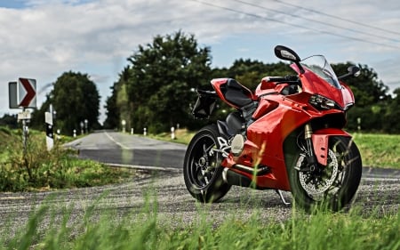 2018 ducati 1299 pangali - bike, pangali, ducati, motorcycle, grass