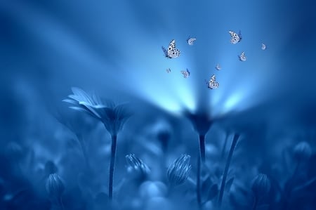 Butterflies - Light, Flowers, Butterflies, Style, Blue