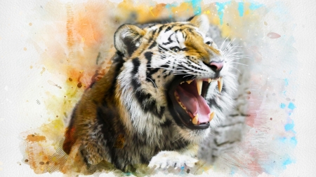 tiger