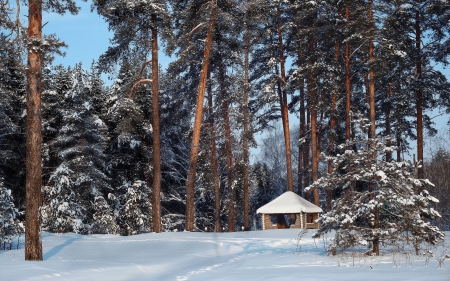 Forest in Winter - winter, wooden, gazebo, snow, forest