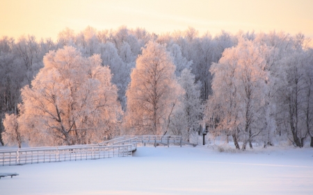 Winter in Lapland, Finland