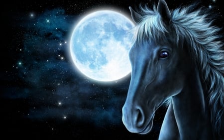 :) - white, moon, horse, luminos, blue, night, luna, fantasy