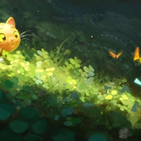 Kitten