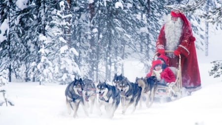 Santa coming soon - sleigh, trees, snow, forest, huskies