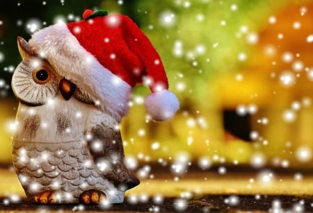 â¤ï¸ - new year, owl, christmas, bird