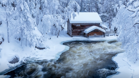 Winter forest - Finland, Trees, Park, Forest, House