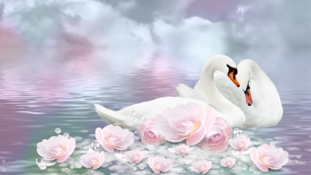 swan-romance - wasser, liebe, schwarn, deutschland, blumen