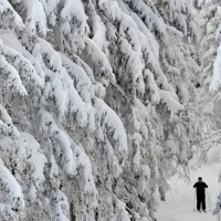 Winter In Germany