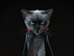 Vampire cat