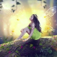 Fairy