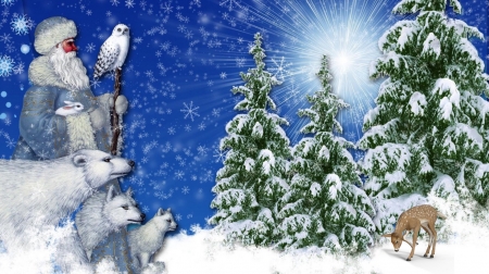 Light of Christmas - stars, animals, hiliday, winter, deer, christmas, santa, snow, pine trees