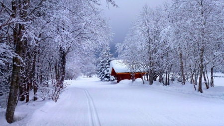 Winter's charm - house, trees, winter, fog, road, snow, white, nature, red, 4K, rural