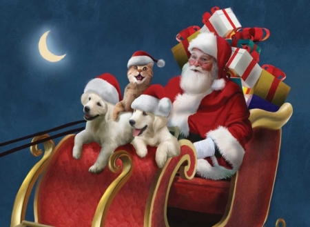 :) - moon, sky, craciun, cat, puppy, fantasy, kitten, christmas, santa, man, dog, red, blue, animal, luna