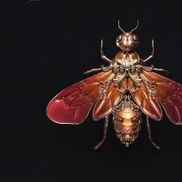 Wasp jewel