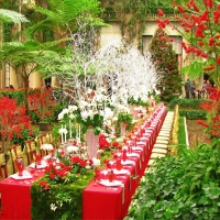 Christmas Gardens