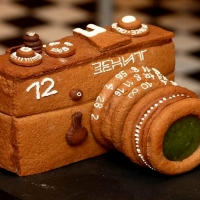 Gingerbread Camera