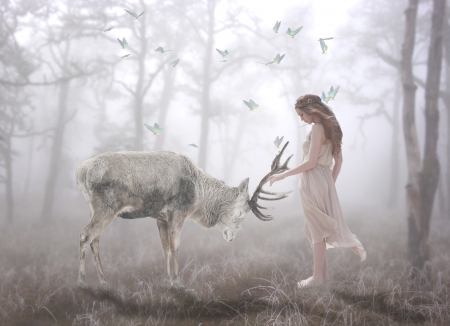 :) - cerb, girl, creative, deer, fantasy, horns, white, forest, luminos