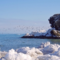 Ocean Coast in Winter