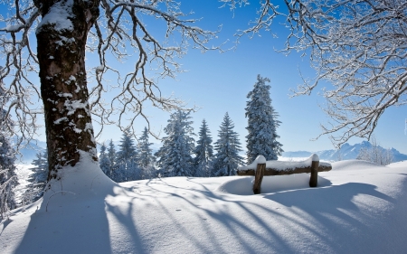 Bench in Snow