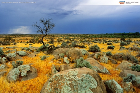 Bool coomatta plains - bool, coomatta, plains, wallpaper