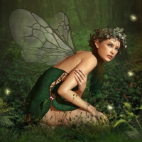 Fairy