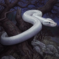 White Snake