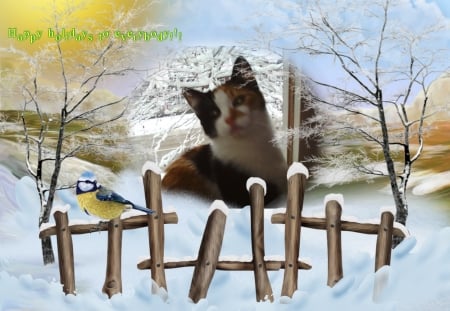 holiday - cute, cats, winter, holiday