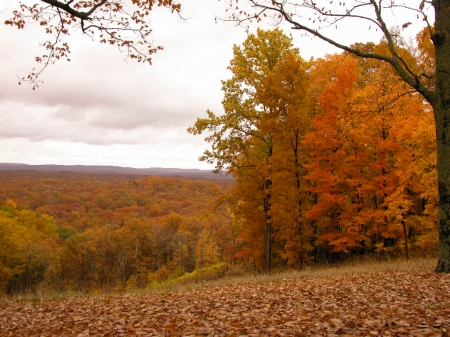 Brown County State Park, Indiana - fall, parks, leaves, indiana, autumn