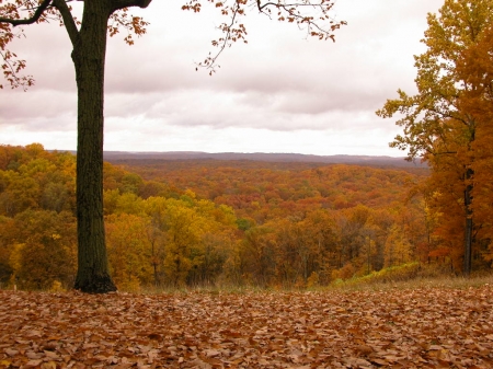 Brown County State Park, Indiana - Autumn, Leaves, Indiana, Parks, Fall