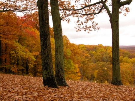 Brown County State Park, Indiana - fall, autumn, parks, leaves, indiana