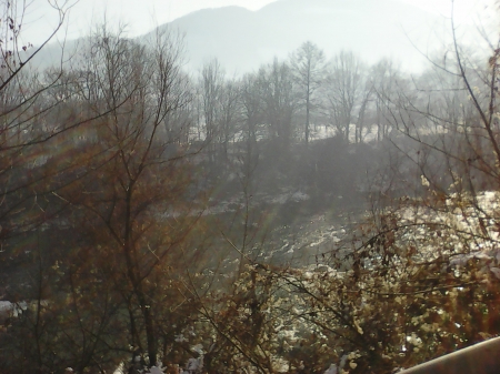 Winter's day - winter, nature, december, trees