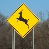 Rudolph's Reindeer Crossing :D