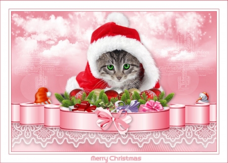 CHRISTMAS KITTEN