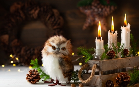 Merry Christmas! - craciun, candle, figurine, bufnita, owl, christmas, bird, deco