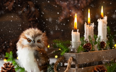 Merry Christmas! - owl, christmas, bird, craciun, candle, bufnita, deci