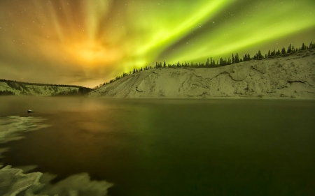 Northern lights - winter, lake, trees, lights