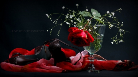 Rose - handkerchief, rose, shoes, vase