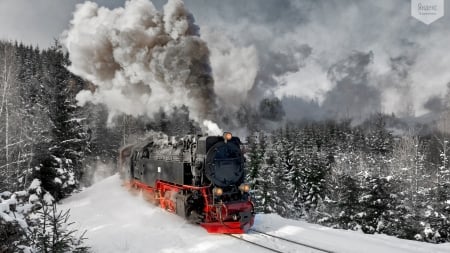 Steamtrain in Harz Mountains, Germany - locomotive, train, trees, winter, snow, railways