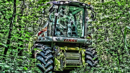 abandoned combine - harvester, forest, lexion, claas, combine