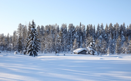 Winter Landscape - trees, forest, snow, winter, house, log cabin